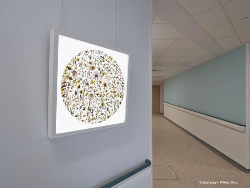 DCC-ART-Amy-Shelton-1