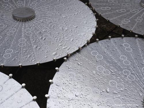 DCC-ART-Bruce-Munro-2