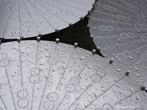 DCC-ART-Bruce-Munro-3