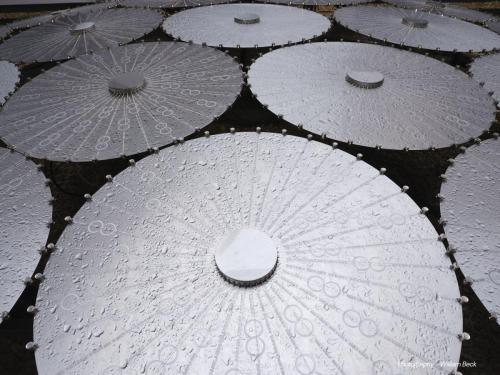 DCC-ART-Bruce-Munro-4