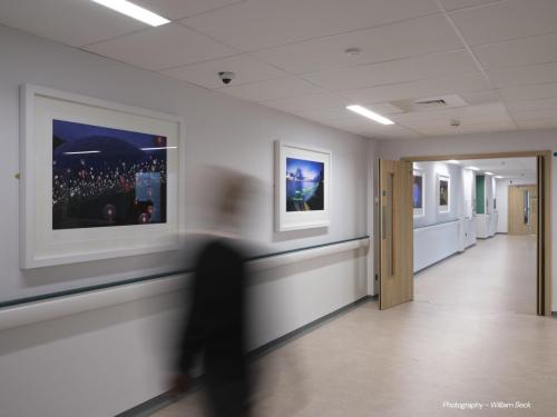 DCC-ART-Bruce-Munro-5