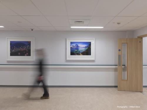 DCC-ART-Bruce-Munro-6