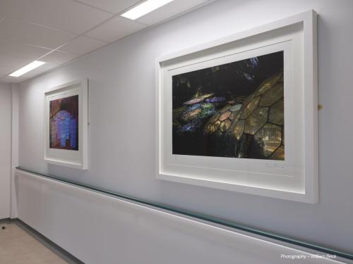 DCC-ART-Bruce-Munro-7