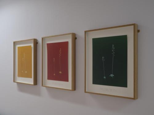 DCC-ART-Chrystel-Lebas-1-2