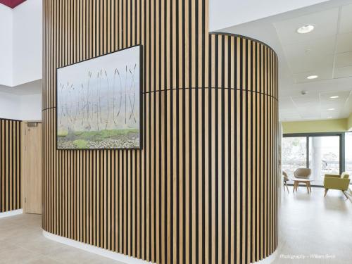 DCC-ART-Deidre-Dyson-2-1