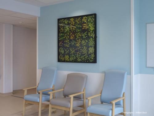 DCC-ART-Dornith-Doherty-2