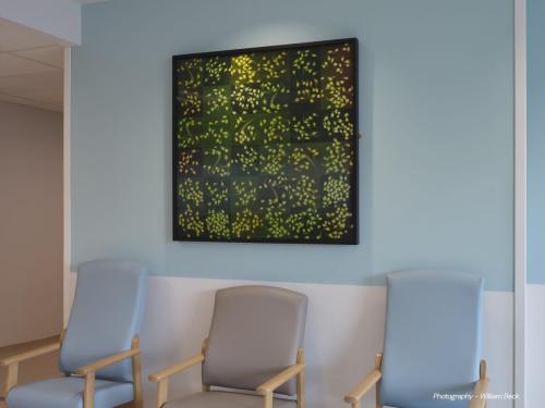 DCC-ART-Dornith-Doherty-4