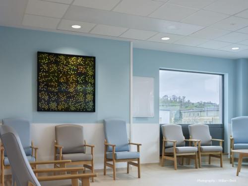 DCC-ART-Dornith-Doherty-5