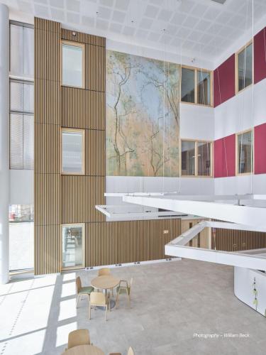 DCC-ART-Mark-Sands-2