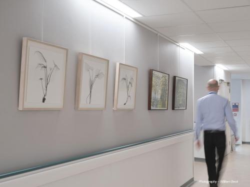 DCC-ART-North Gallery-10