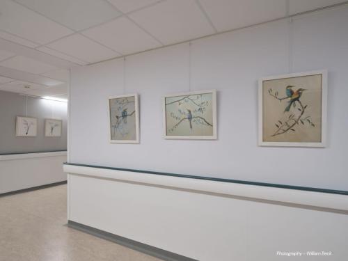 DCC-ART-Bath-Photographic-Society-14 (1) (1)